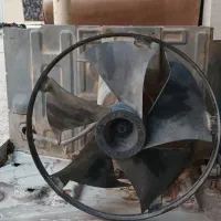 فن کولر گری