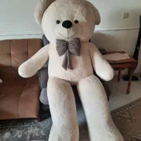 خرس ۲ متری سفید