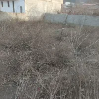 فروش زمین ویلایی حدودا 400 متری دراستارا کانرود