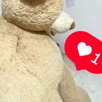 خرس ۳متر