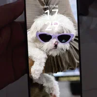 poco f5