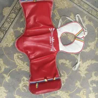 هوگو