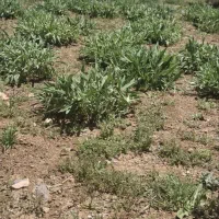 فروش 16000000میلیون