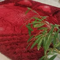 روتختی.روتختی عروس.روتختی سلطنتی