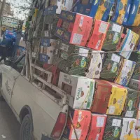 خرید و فروش کارتن موز