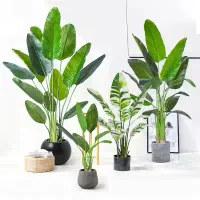درختچه مصنوعی پرنده بهشتی از انبار پخش