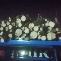 خرید و فروش چوب