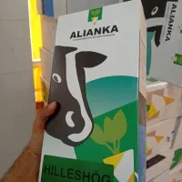 چغندر علوفه ایی تناژ در هر هکتار ۱۸۰ تن تا ۲۵۰ تن