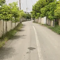 زمین-شهرکی-ساخت-بتونی-تودل-جنگل-زیرقیمت
