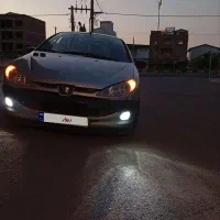 ۲۰۶ تیپ دو دور رنگ