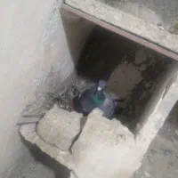 کفتر یا کبوتر آلمانی