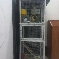 فروش قفس