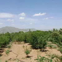خانه-باغ