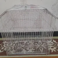 قفس پرنده
