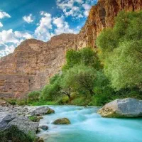 تور درونگر