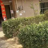 مغازه ۳۰۰متر  بابر۱۵ متر|اجارهٔ مغازه و غرفه|تهران, دریاچه شهدای خلیج فارس|دیوار