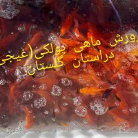 ماهی قرمز فروشی