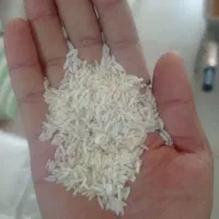 هاشمی درجه 1فقط 350