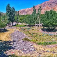 زمین واقع در دهبکری