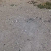 فروش دو قطعه زمین مزروعی به متراژ هر قطعه ۳۷۸ متر