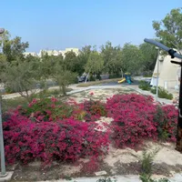 اجاره ماهانه یک خواب فول امکانات فاز ۱ صدف|اجارهٔ کوتاه‌مدت آپارتمان و سوئیت|کیش, |دیوار