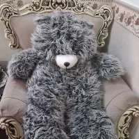 شاسخین ۱۱۰سانتی