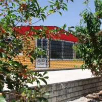 زمین-آجیلی