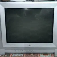 تلویزیون