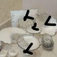 ظرف پذیرایی رزین