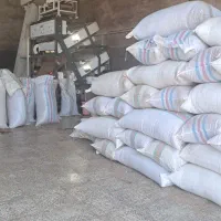 پخش چای