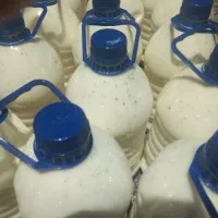 پخش دوغ محلی