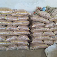 فروش نخود بذری