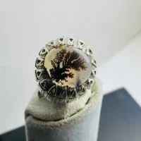 انگشتر شجر تک درخت