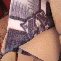 موکت طاقه ای ومتری