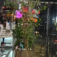 بنجامین