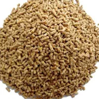 دانه پارس