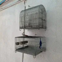 قفس غلامی دوعدد