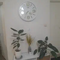 گل و گلدان خانگی