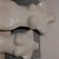 مانکن+رگال
