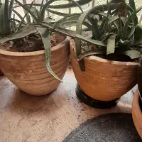 گلدان سفالی و سنگی