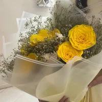 گل بزرگ ژیلوسفویا همراه با گل روبانی