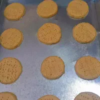 آموزش زنجبیلی