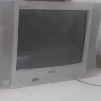 تلوزیون