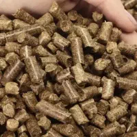 تفاله چغندر