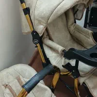 کالسکه و کریرنو اسکلت طلایی