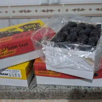 رطب مضافتی بم