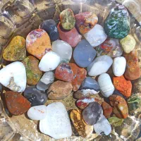 یه تغییر اساسی به دکور آکواریومت بده