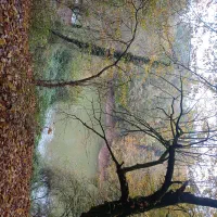 ویلایی حاشیه بلوار قاضی طباطبایی با پروانه ساخت