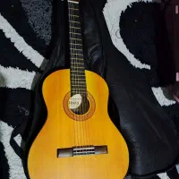 گیتار|گیتار، بیس، امپلیفایر|رشت, گیل|دیوار