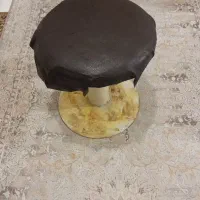 قارچ ژیمناستیک